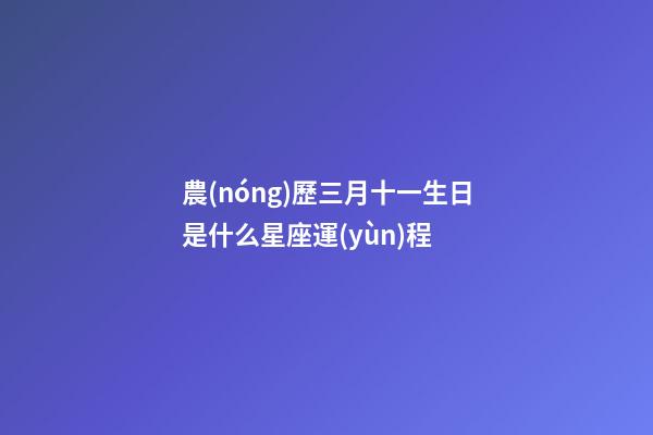 農(nóng)歷三月十一生日是什么星座運(yùn)程 (陽(yáng)歷十一月三日出生的是什么星座)-第1張-觀點(diǎn)-玄機(jī)派